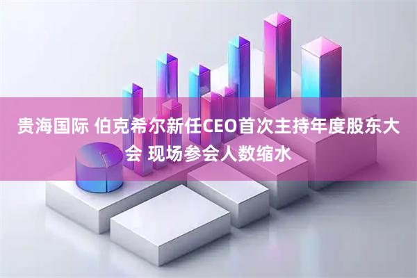 贵海国际 伯克希尔新任CEO首次主持年度股东大会 现场参会人数缩水